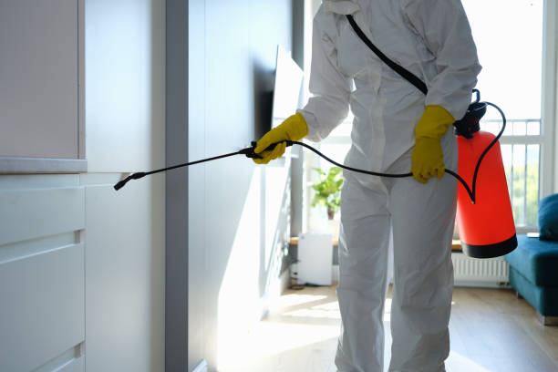 Professional Mold Remediation in St Anne, IL