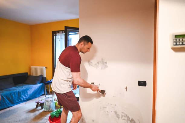Best Mold Testing and Inspection Services in St Anne, IL